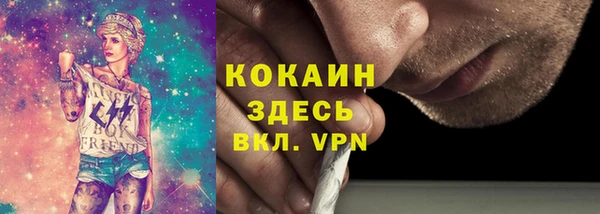ПСИЛОЦИБИНОВЫЕ ГРИБЫ Аркадак