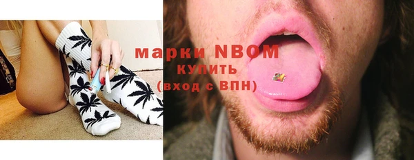 прущие грибы Баксан