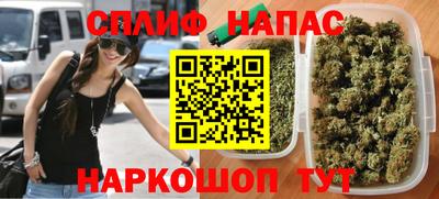 гашик Кунгур