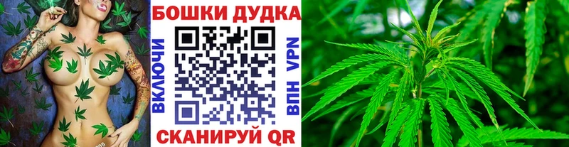 МАРИХУАНА план  Кемерово 